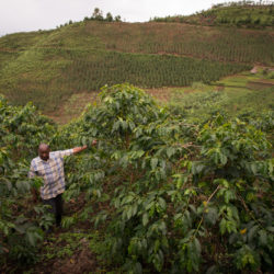 CTPH-SocialEnterprises-GorillaConservationCoffee-Lead-Arabica-Coffee-Farmer-at-Bwindi-photo-by-Jo-Anne-McArthur-Unbound-Project
