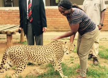 Dr-Gladys-with-a-cheetah