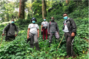 Dr Kalema-Zikusoka and members of the Conservation Through Public Health team out monitoring a gorilla group.(Supplied: Conservation Through Public Health)